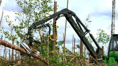 记录机器人手臂提升锯日志森林森林砍伐